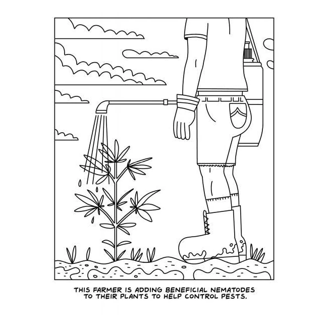 A Visit to the Cannabis Farm Coloring Book - Overview