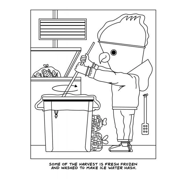 A Visit to the Cannabis Farm Coloring Book - Key Details