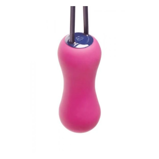 Ami Plus Progressive Pelvic Weights Fuchsia - Overview