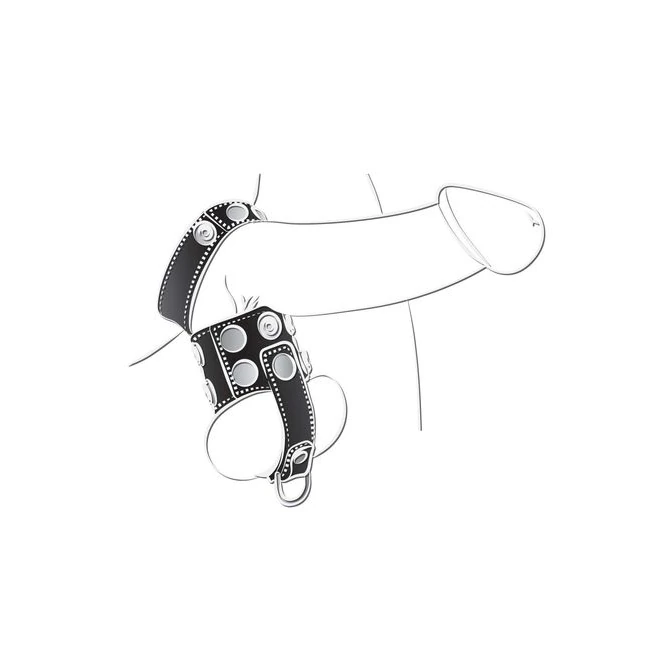 Ballgear Ball Stretcher with Separator & D-Ring Black - Attachment Point and Adjustable Closures