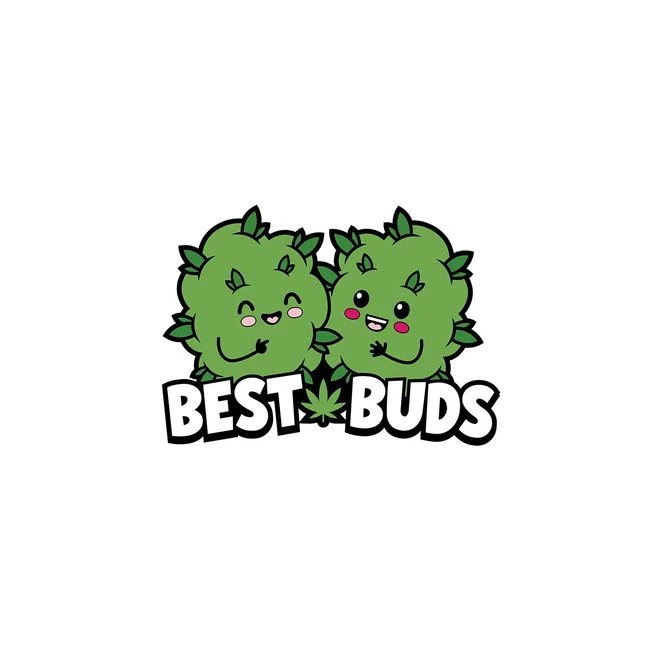 Best Buds Pin - Build & Quality