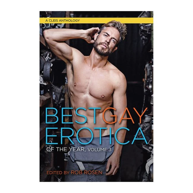 Best Gay Erotica Of The Year, Volume - Overview