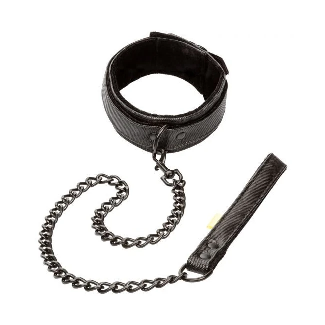 Boundless Collar & Leash - Build & Quality