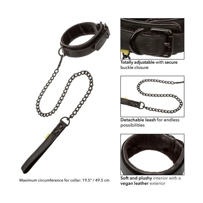 Boundless Collar & Leash - Comfort & Fit