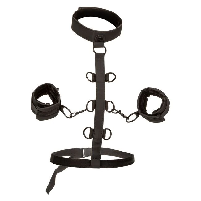 Boundless Collar Restraint - Build & Quality