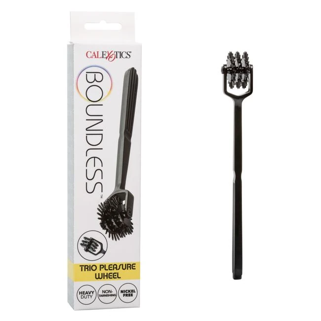 Boundless Pleasure Wheel - A 22-Point Pinwheel in Black Metal