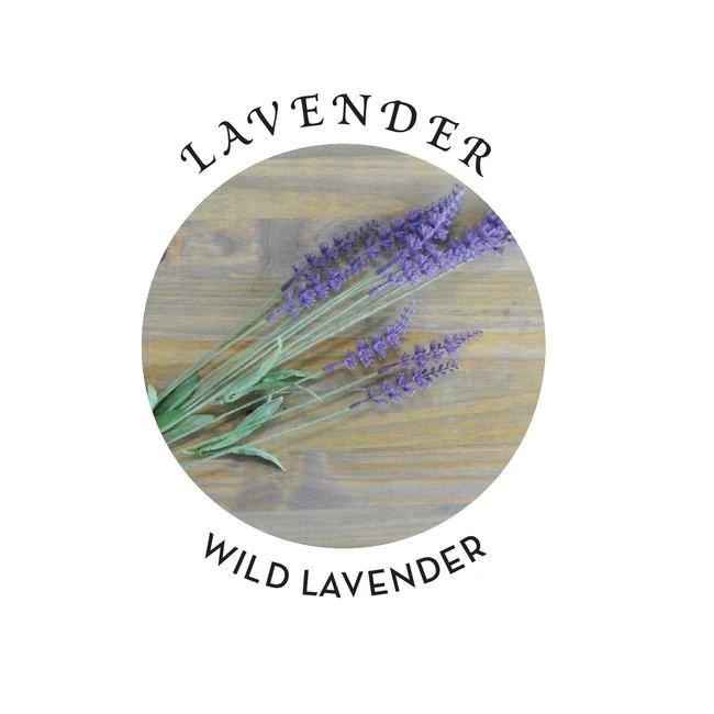 Cbd Daily Lavender 3-in-1 Massage Candle 6 Oz - Experience the Formula & Feel