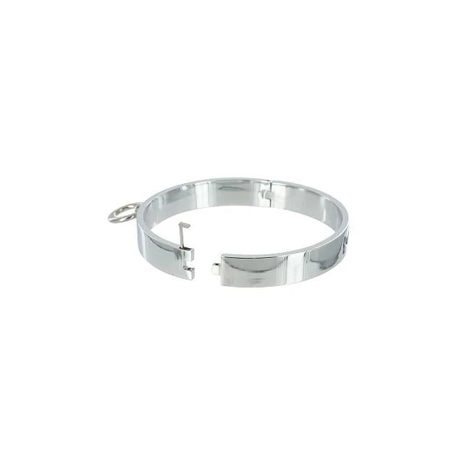 Chrome Slave Collar Medium/large - Hardware & Fasteners