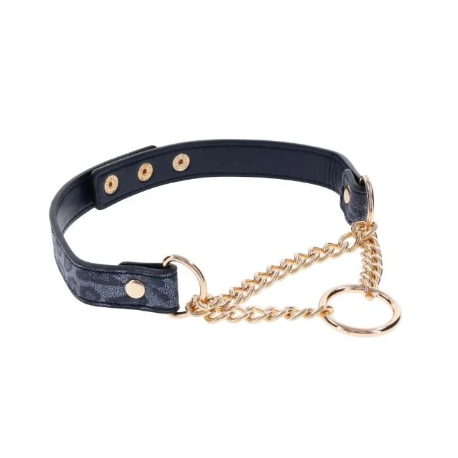 Cougar Day Collar - Build & Quality