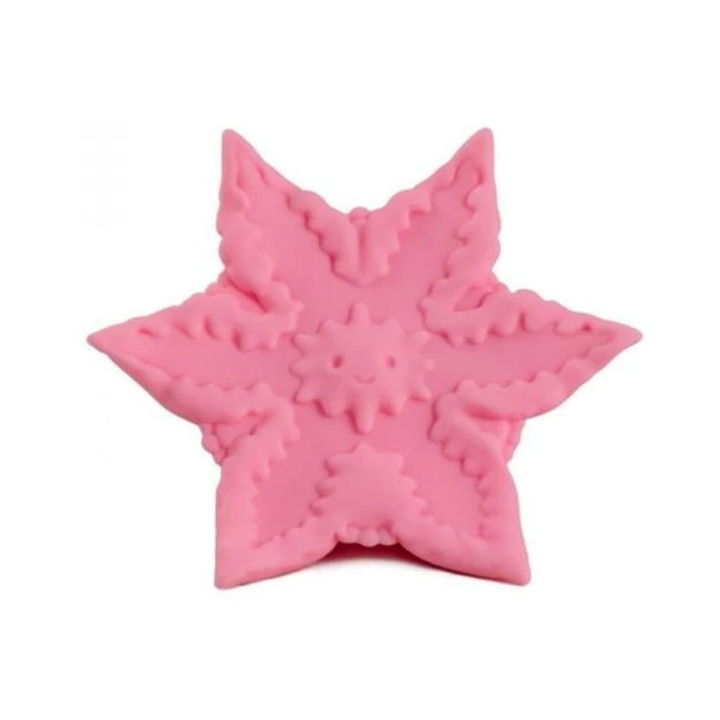 Cute Little Fuckers Starsi Coral - Meet Starsi Coral from Cute Little Fuckers