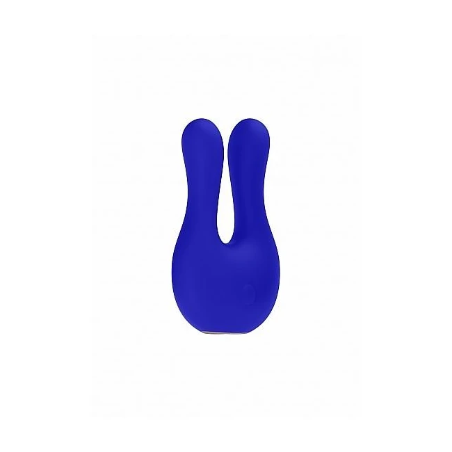 Dual Motor Clitoral Stimulator Exceptional - What Is the Dual Motor Clitoral Stimulator Exceptional?
