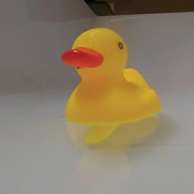 Duck with a Dick - What Is the Duck with a Dick?
