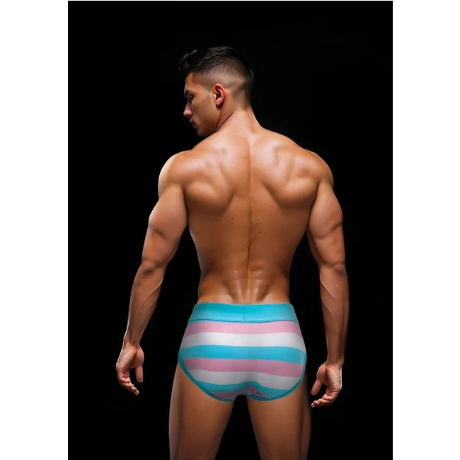 Envy Rainbow Pride Brief - What Is the Envy Rainbow Pride Brief?