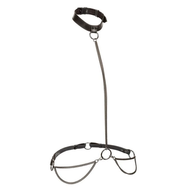 Euphoria Chain Halter Collar & Leash - Experience the Art of Control and Elegance