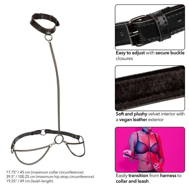 Euphoria Chain Halter Collar & Leash - Physical Experience and Sensation