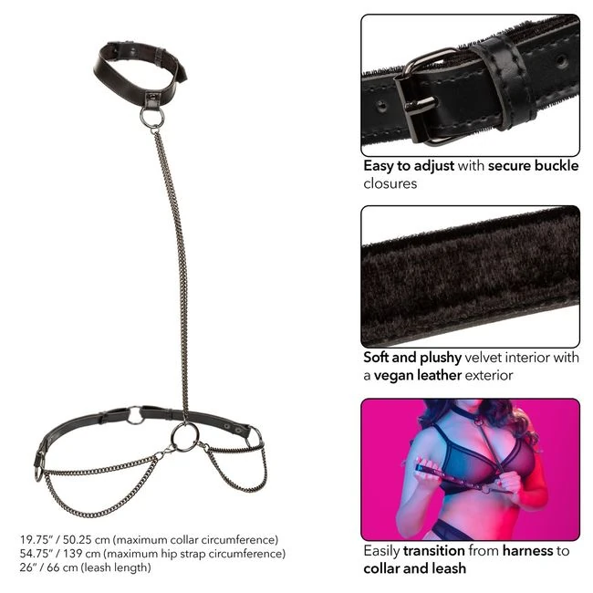 Euphoria Chain Halter Collar & Leash Plus Size - Versatile and Adjustable Fit