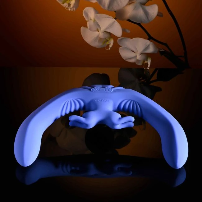 Evolved Lovebirds - Shape & Texture