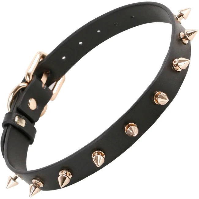 Fetish & Fashion Medusa Collar Black - What the Medusa Collar Is