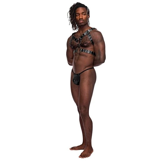 Gemini Leather Harness Black O/s - Hardware & Fasteners