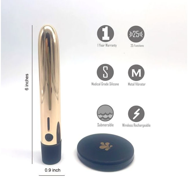 Gold Selina Q1 Charger Bullet - Introduction to the Gold Selina Q1 Charger Bullet
