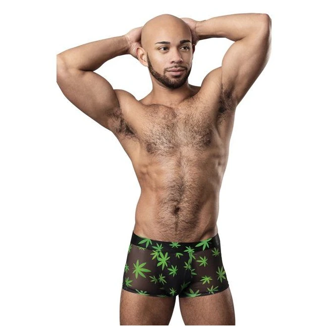 Hazy Dayz Pouch Short Potleaf - Comfort & Fit