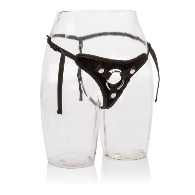 Her Royal Harness - Shape & Texture