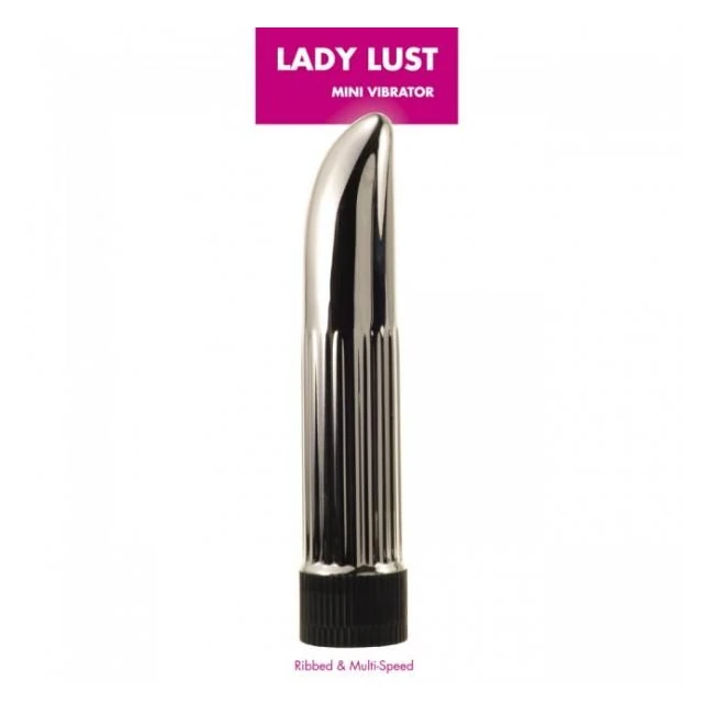 Lady Lust Mini Vibe Silver Minx - What Is the Lady Lust Mini Vibe Silver Minx?