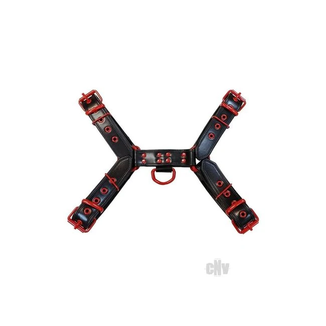 Leather O T Harness Blk/red - Shape &amp; Texture