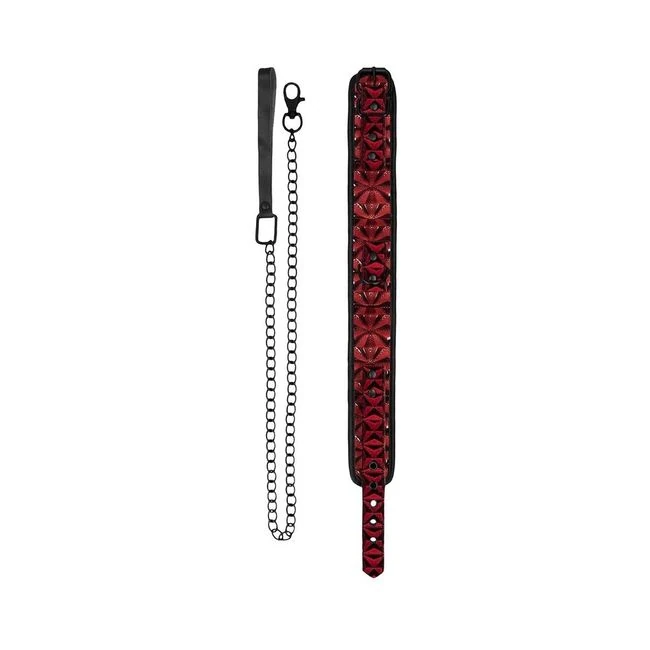 Luxury Collar with Leash - Build & Quality