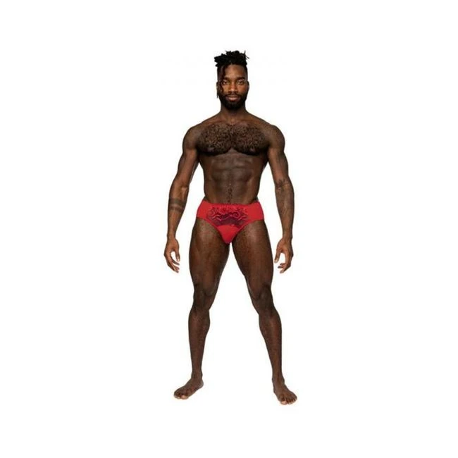 Male Power Sassy Lace Bikini Solid Pouch - Specifications