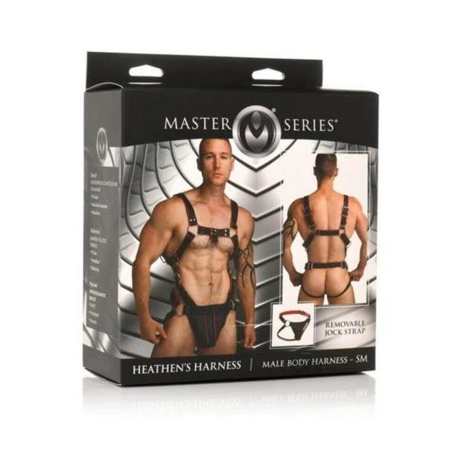 Ms Heathers Male Body Harness - Overview