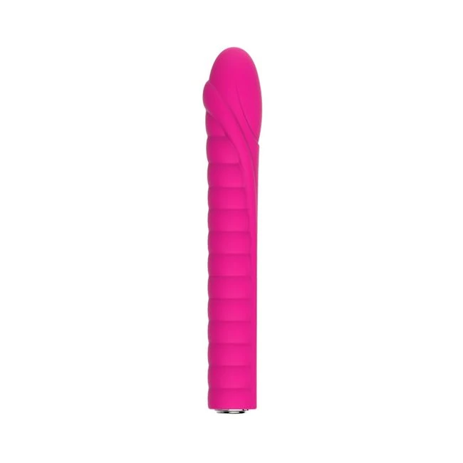 Nalone Dixie Silicone Bullet 20 Function Usb Rechargeable Waterproof Pink - What Is the Nalone Dixie Silicone Bullet 20 Function Usb Rechargeable Waterproof Pink?