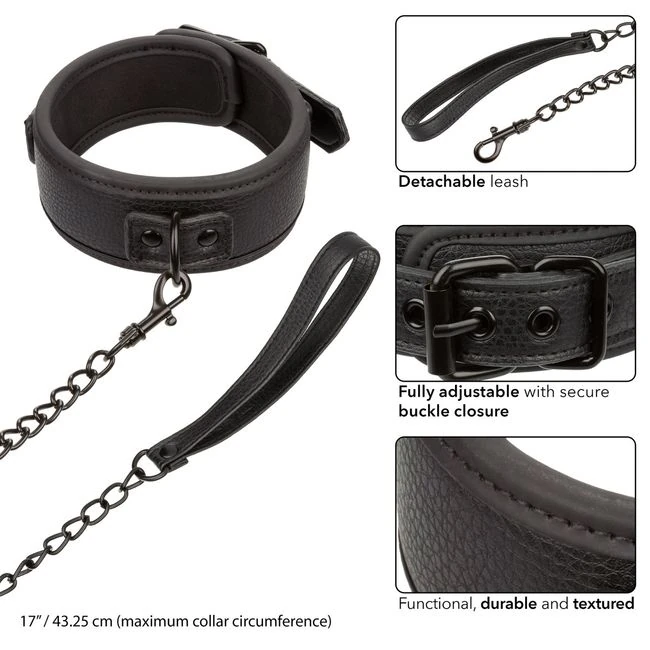 Nocturnal Collar & Leash - Premium Materials and Durability