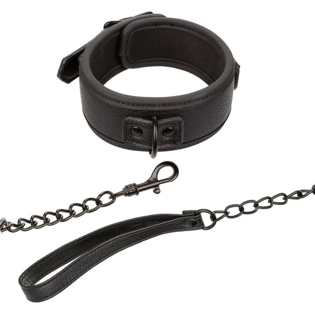 Nocturnal Collar & Leash - Physical Experience and Sensory Stimulation