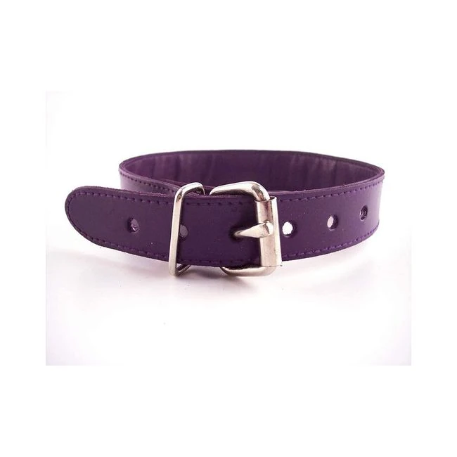 O-ring Studded Thin Collar - Purple - Build & Quality