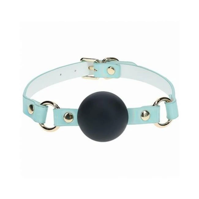 Ouch! Paris Collection Silicone Ball Gag - What Is the Ouch! Paris Collection Silicone Ball Gag?