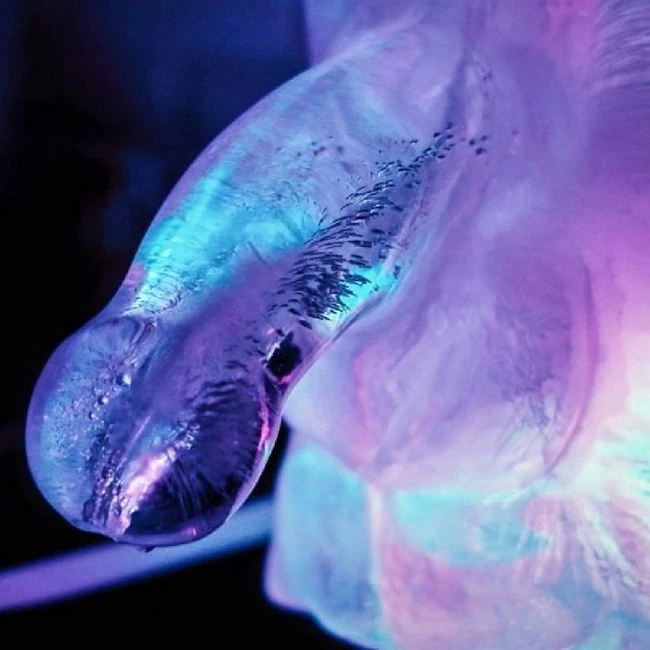 Play Wiv Me Huge Penis Ice Luge - Fits a Standard Freezer Without Extra Setup