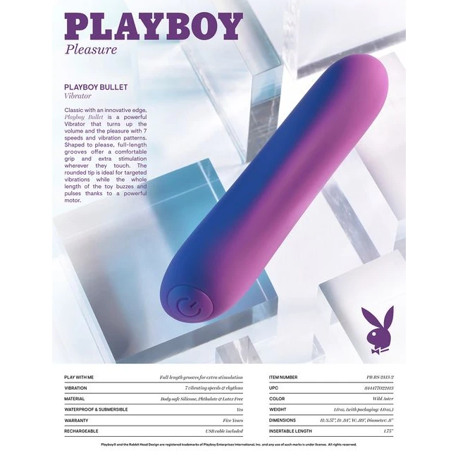 Playboy Bullet - Care & Maintenance