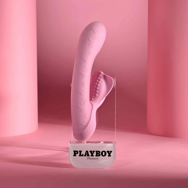Playboy Rabbit Party - Controls &amp; Charging