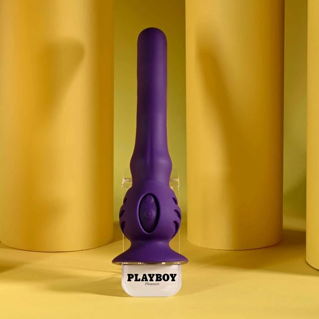 Playboy Wiggle It - Motors & Controls