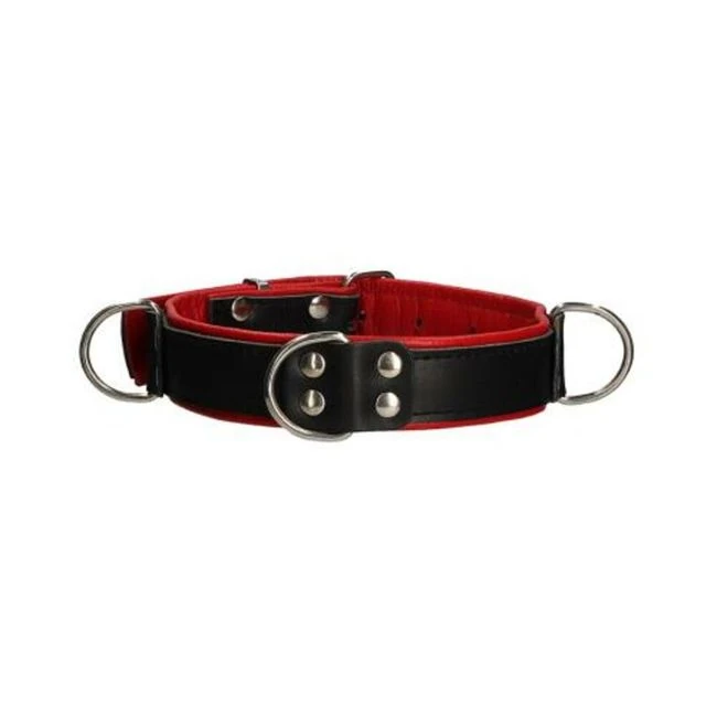 Premium Leather Bondage Collar - Hardware & Fasteners
