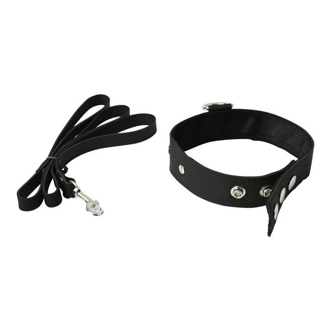Premium Leather Leash & Collar - Build & Quality