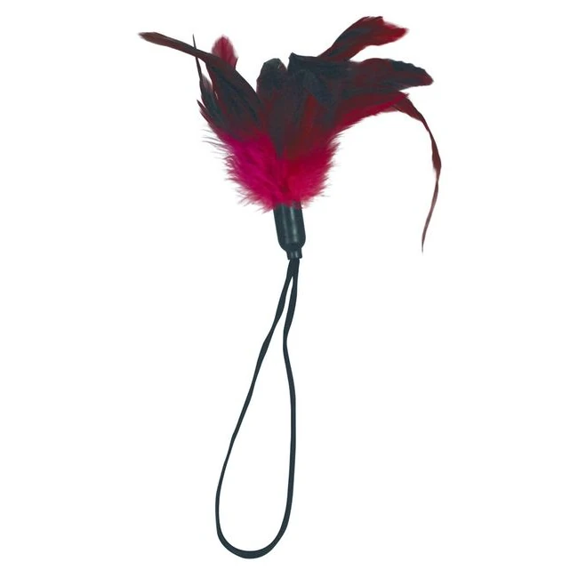 Premium Pleasure Feather - Glossy Feathers with a Soft, Springy Feel