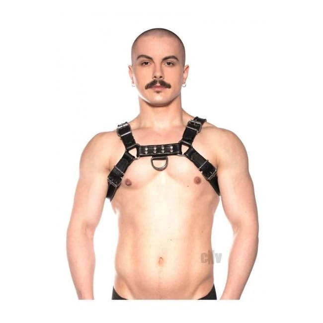 Prowler Red Bull Harness Black - Overview