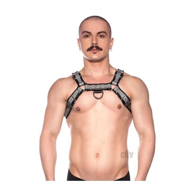 Prowler Red Bull Harness - Overview