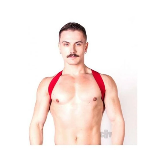 Prowler Red Sports Harness Lite
