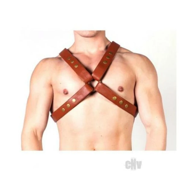 Prowler Red X Harness Brn/brs - Overview