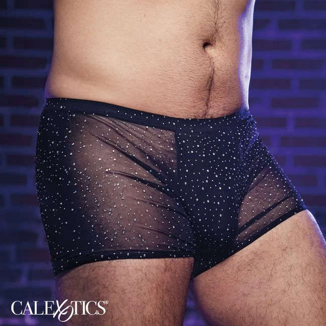 Radiance Boxer Briefs - Overview
