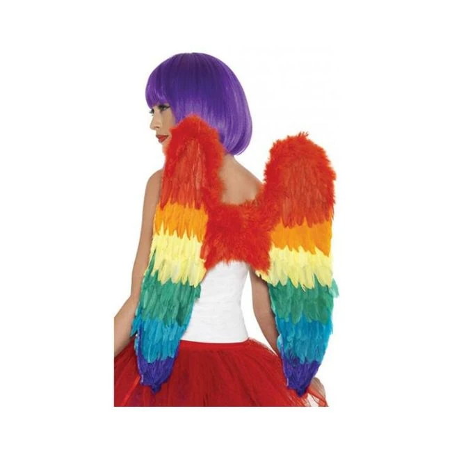 Rainbow Large Feather Wings - Fabric & Feel