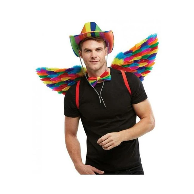 Rainbow Large Feather Wings - Specifications